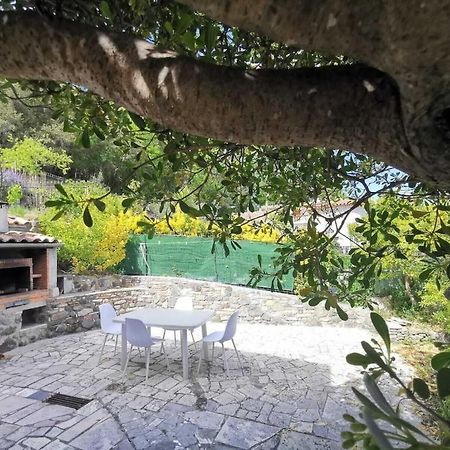 Bas De Villa Au Calme Villeneuve-Loubet Kültér fotó