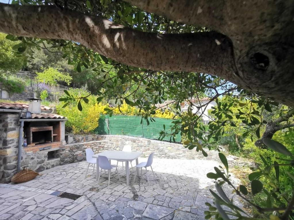 Bas De Villa Au Calme Villeneuve-Loubet Kültér fotó